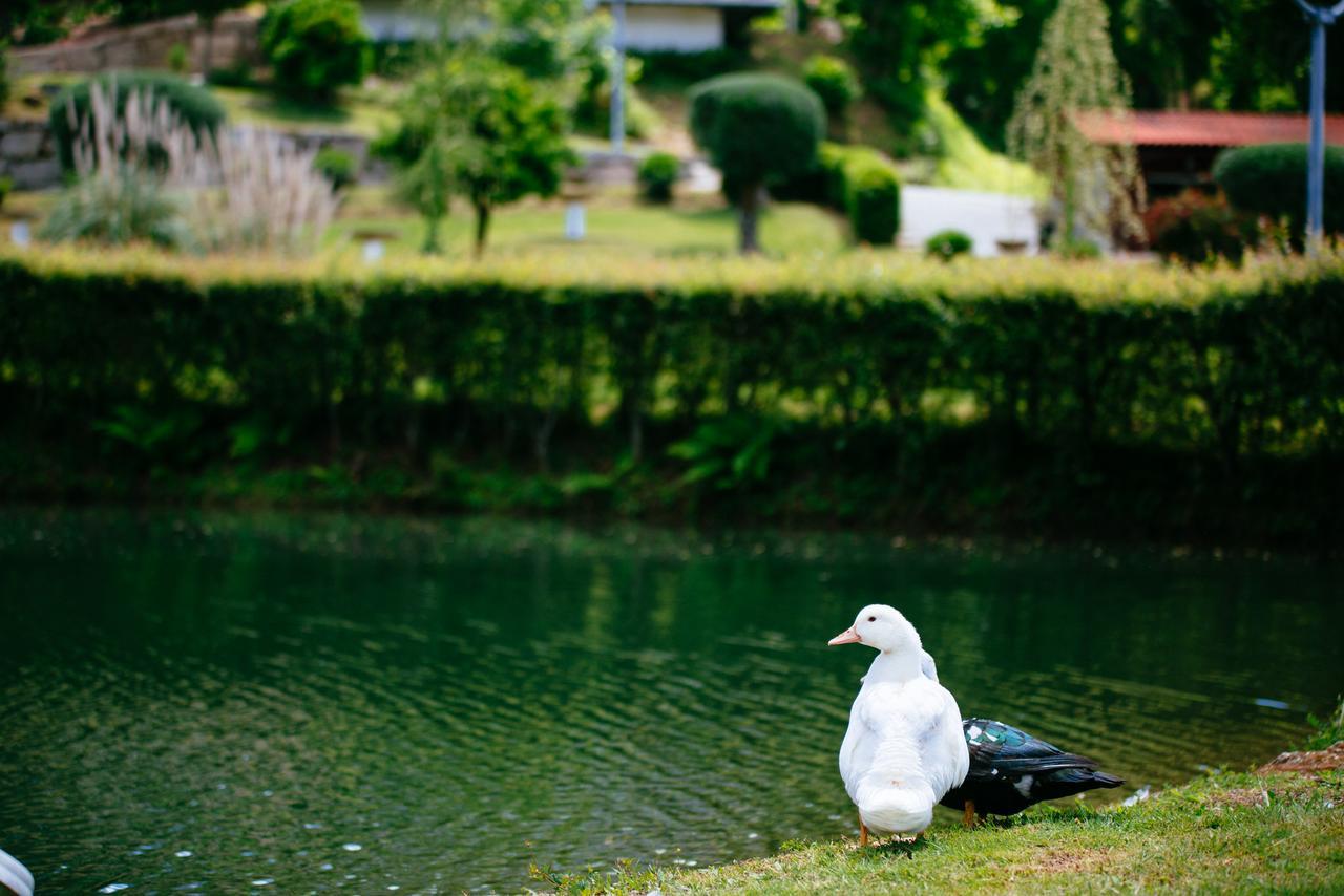 Quinta Do Rio Geres Villa Bouro Luaran gambar