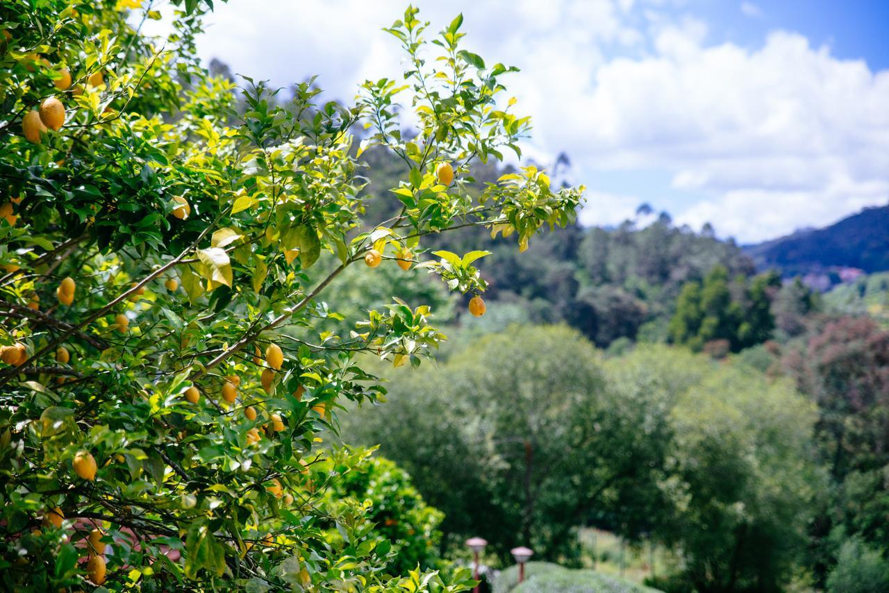 Quinta Do Rio Geres Villa Bouro Luaran gambar